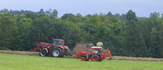 cutting-hay_2009B.jpg