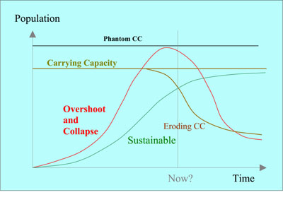 overshooting carrying capacity