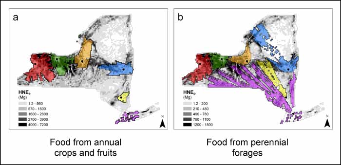 Figure 6. Statewide maps of selected
foodsheds.
